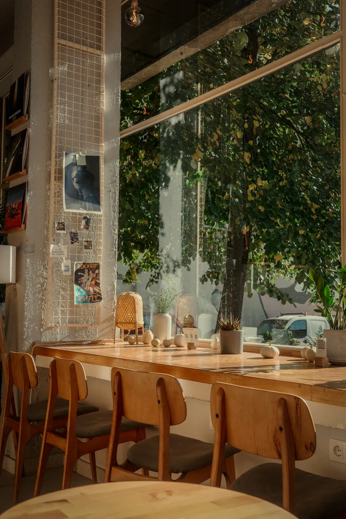 A long table beneath an indoor tree